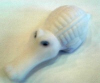 Krokodýl
